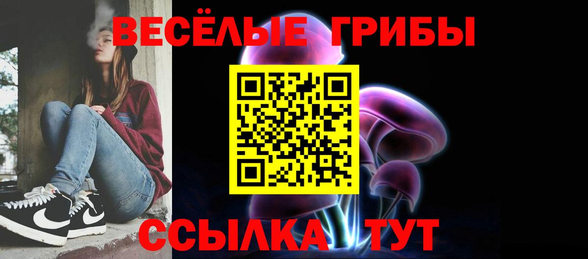 Галлюциногенные грибы Cubensis Сланцы